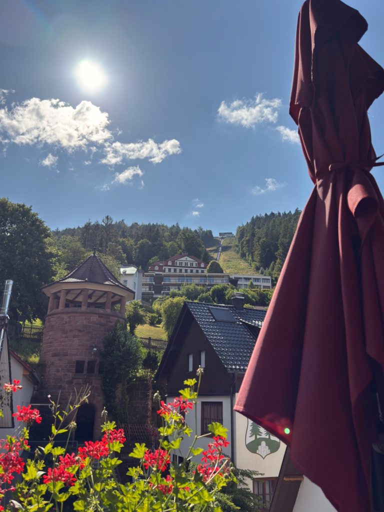 Ausblick Balkon Doppelzimmer